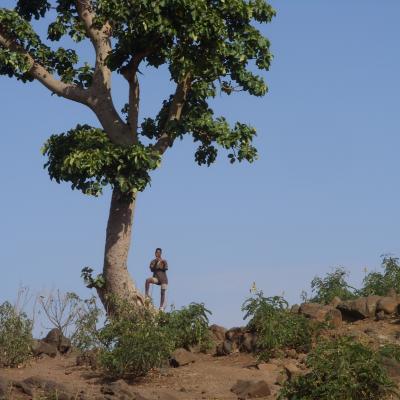 The north & south over 20 days